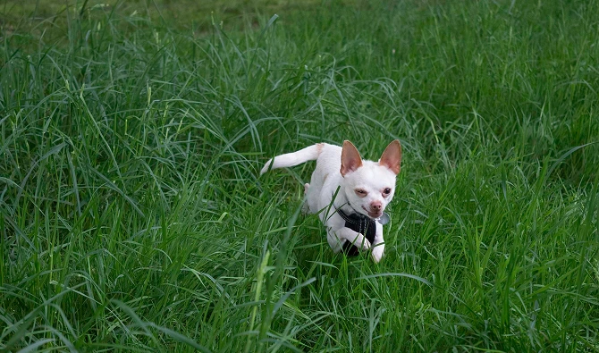 How to Rotate Toys to Keep Playtime Fresh