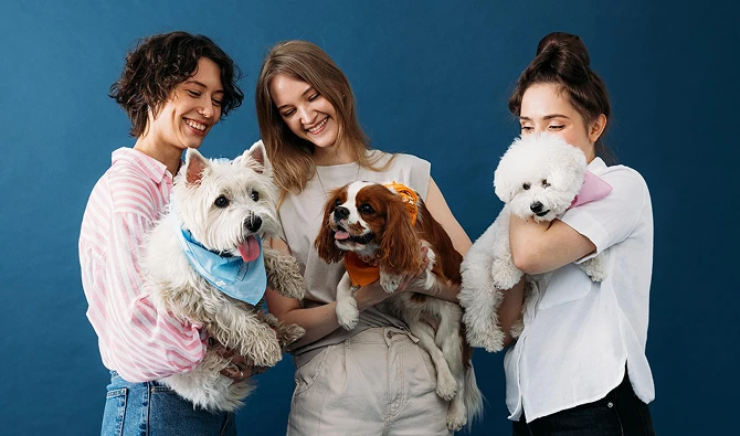 Common Issues in Purebred Puppies 5