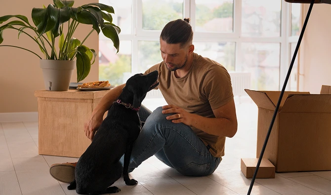 How to Puppy-Proof 2